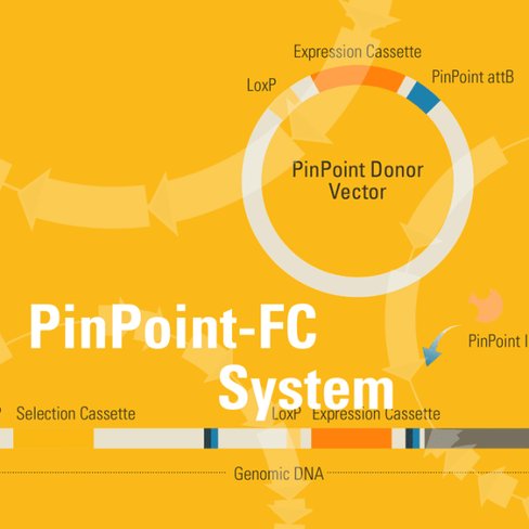 Pinpoint-fc system for platform cell line generation retargeting 1 kit