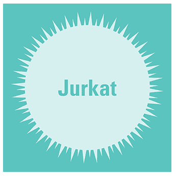 Jurkat clone e6-1 human t lymphocyte cell line: sup à1x10^6 frozen exosomes 50 µg 50 µg