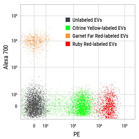 Exoflow-one ev labeling kit for flow cytometry (emerald green)25 rxns 25 réactions(s)