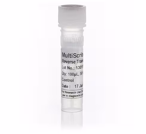 Multiscribe reverse transcriptase-100 µL