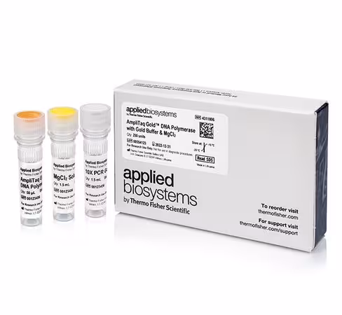 Amplitaq gold dna polymerase with gold buffer and µgcl2-250 units 250 unités