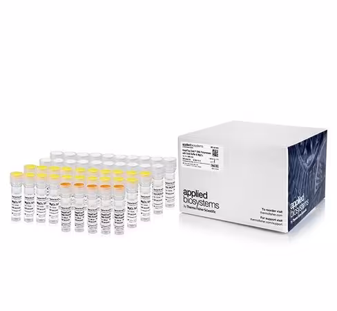 Amplitaq gold dna polymerase with gold buffer and µgcl2-5,000 units 5000 unités