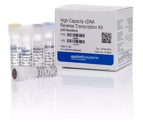 High-capacity cdna reverse transcription kit-1,000 réactions