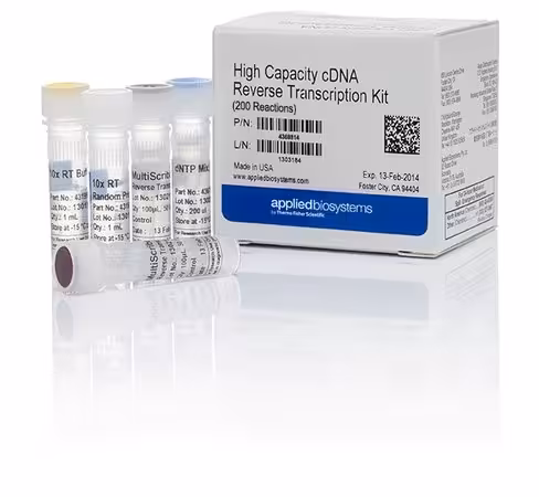 High-capacity cdna reverse transcription kit-200 réactions