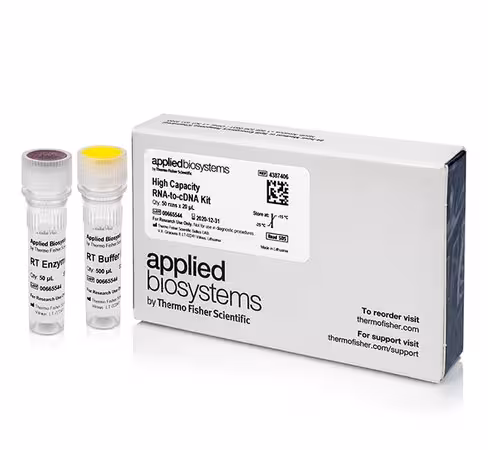 High-capacity rna-to-cdna kit-50 réactions
