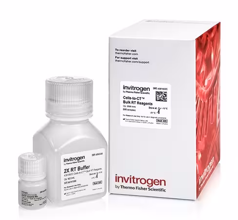 Cells-to-ct bulk rt reagents-2,500 réactions
