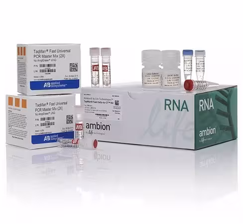 Taqman fast cells-to-ct kit-100 réactions