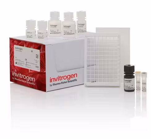 Pka (protein kinase a) colorimetric activity kit-96 tests
