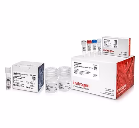 Power sybr green cells-to-ct kit-40 réactions
