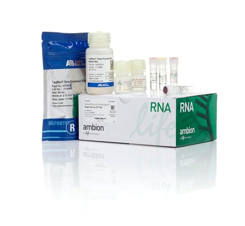 Single cell-to-ct qrt-pcr kit-50 réactions