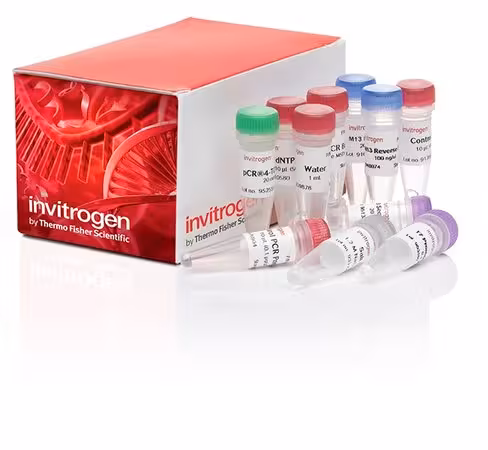 Topo ta cloning kit for sequencing, without competent cells-25 réactions