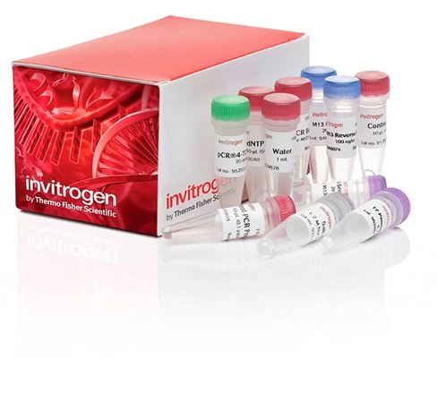 Topo ta cloning kit for sequencing, without competent cells-25 réactions