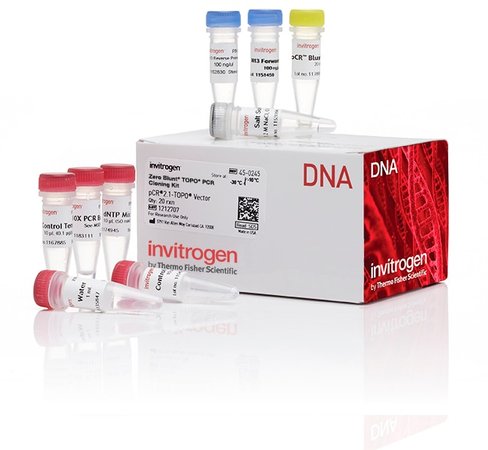 Zero blunt topo pcr cloning kit, without competent cells-25 réactions