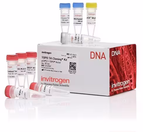 Topo ta cloning kit for subcloning, without competent cells-25 réactions
