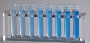 Lowry protein assay 1 KIT