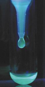 Immunoaffinity chromatography 1 KIT