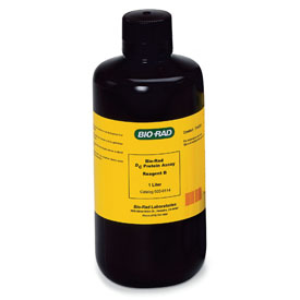 Protein Assay Reagent B 1 l