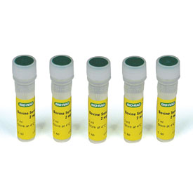 Quick Start Bovine Serum Albumin Standard vials of 2 mg/ml 10 mL