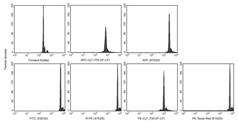 Rainbow flrs prtcl bright 3.0-3.4um 5ml 1 x 5 mL