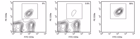 Mse cd8a imag part.dm 1 x 2 x 109 cells