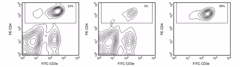 Ms bd imag anti-mouse cd4 particles-dm bd imag-dm gk1.5 - 2 x 109 cells 1 x 2 x 109 cells