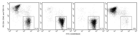Ms b lymphocyte enrichment set - dm bd imag - dm - 1x 109 cells 1 x 1x 109 cells