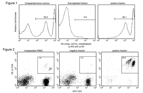 R-pe imag particles-dm e31-1459 5ml 1 x 1x 109 cells