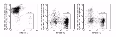 Ms dndrtc cell enri imag 1 x 1x 109 cells