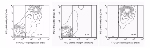 Cd11b imag-dm m1/70 10ml 1 x 2 x 109 cells