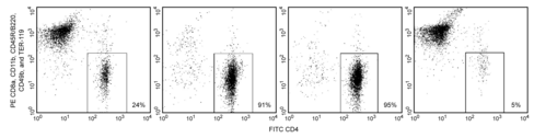 Ms cd4 t lymphocyte enrichment set - dm bd imag - dm - 1x 109 cells 1 x 1x 109 cells