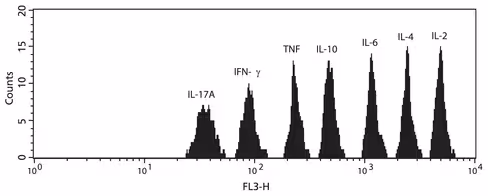 Hu th1/th2/th17 cba kit 1 x 80 tests