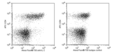 Mouse th1/th2 cba 1 x 50 tests