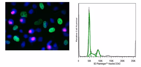 Hoechst 33342 soln 1.0mg 1 mg