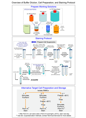 Tf phospho buffer set 1 x 100 tests