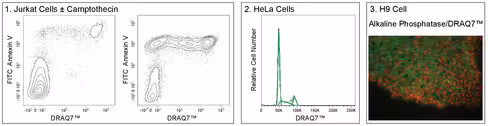 Draq7 1.0 ml
