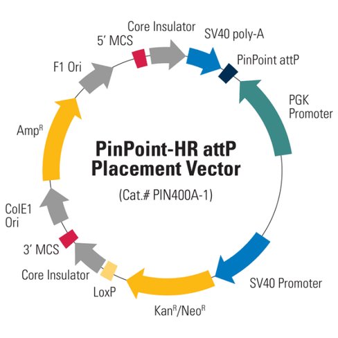 Pinpoint-hr attp placement vector - empty mcs for cloning hr arms 10 µg