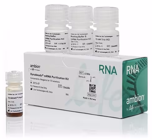 Dynabeads mrna purification kit (for mrna purification from total rna preps)-2 ml