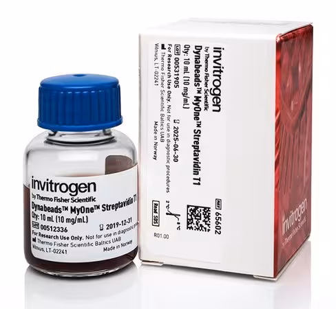 Dynabeads myone streptavidin t1-10 ml