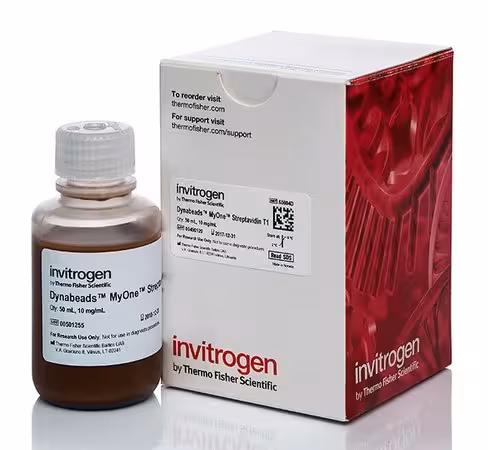 Dynabeads myone streptavidin t1-50 ml