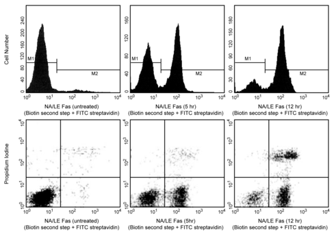 Pi solution 2 ml 1 x 2 mL