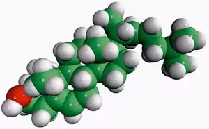 Cholesterol (ovine) Avanti Polar Lipids, 100 mg