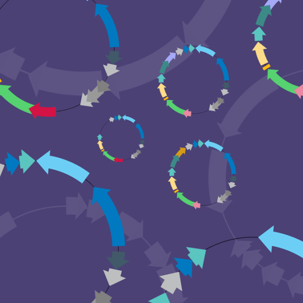 Pgreenfire control pack- pgreenfire negative and positive control plasmids 10 µg each 10 µg