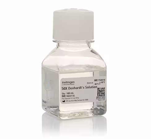 Denhardt's solution (50x)-100 ml