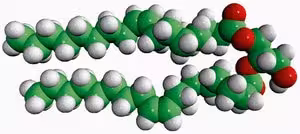 18:1 DG 1-2-dioleoyl-sn-glycerol, neat oil, 10 mg