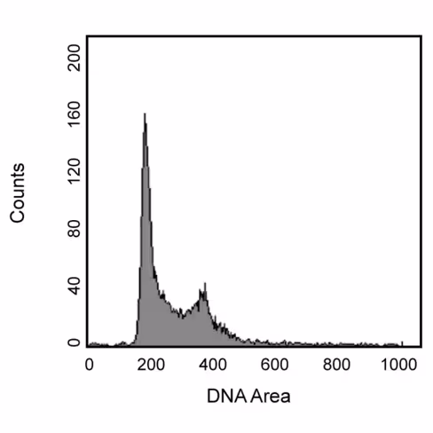 Pi/rnase staining buffer 1 x 100 mL
