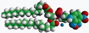 18:0 NBD PE (NBD-DSPE) 1,2-distearoyl-sn-glycero-3-phospho ethanolamine-N-(7-nitro-2-1,3-benzoxadiazol-4-yl), 1 mg