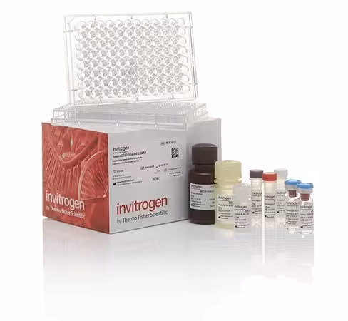 Tgfb1/lap human uncoated elisa kit with plates-2 x 96 tests