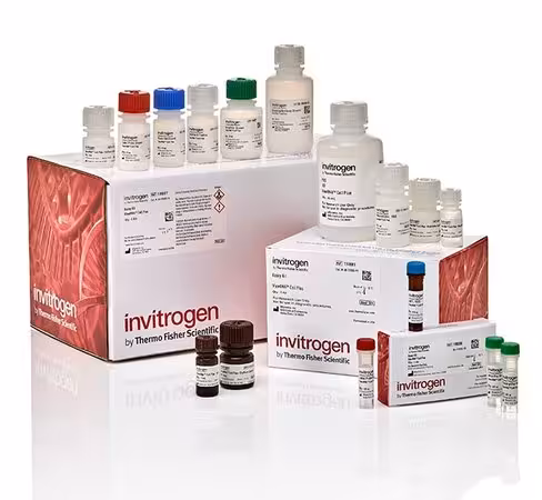 Viewrna cell plus assay kit-1 kit