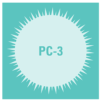 Pc-3 human prostate cancer cells derived from metastatic cancer cell line: sup à1x10^10 frozen exosomes 50 µg
