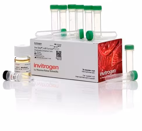 One shot ccdb survival 2 t1r competent cells- 11 x 50 µl